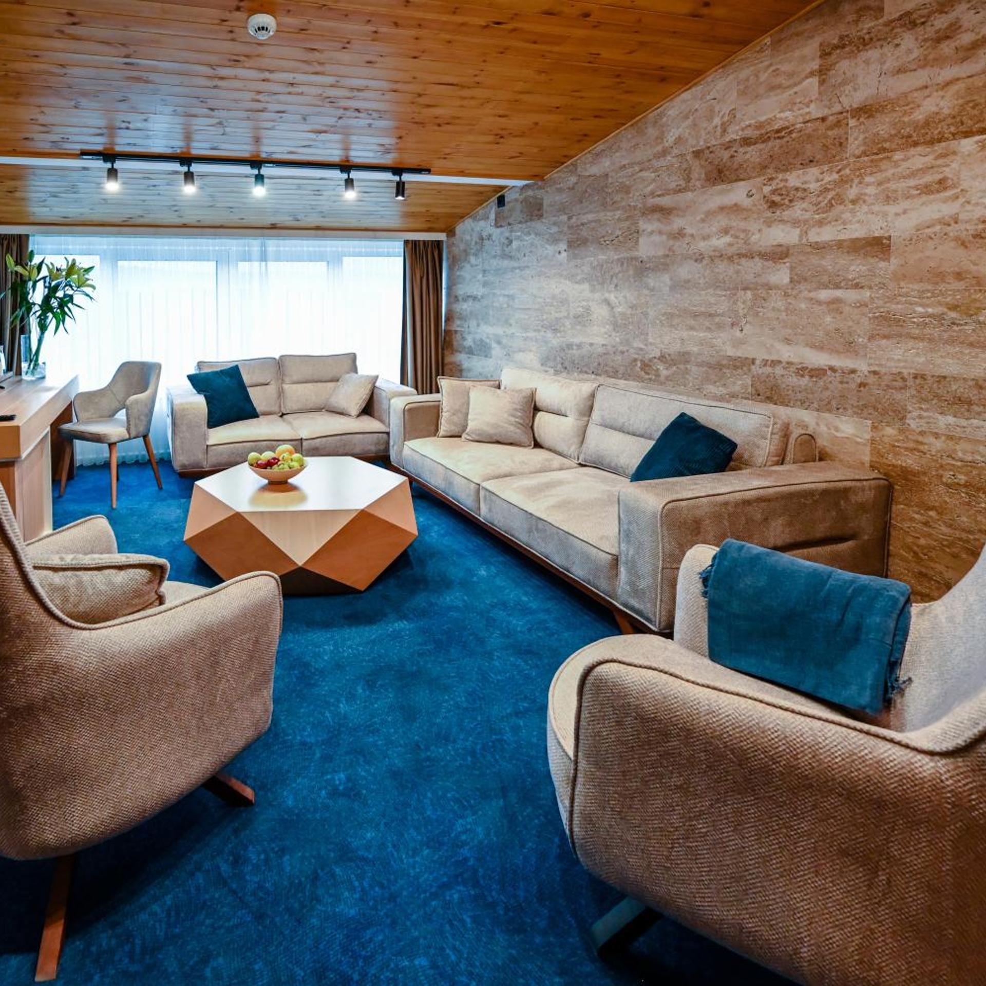 Borici Hotel-sjenica 35/54