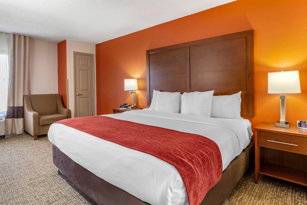 ROOM, KING BED, ACCESSIBLE