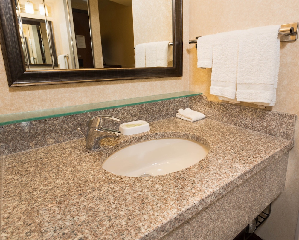 Drury Inn And Suites Atlanta Airport 47/50