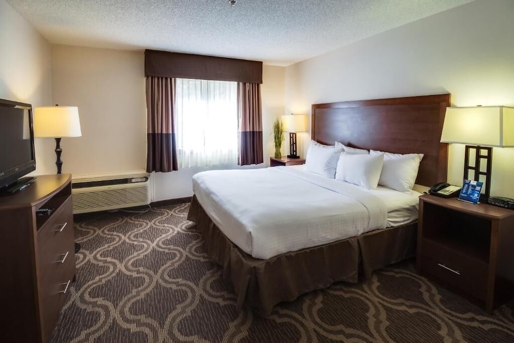 Ashmore Inn and Suites 22/61