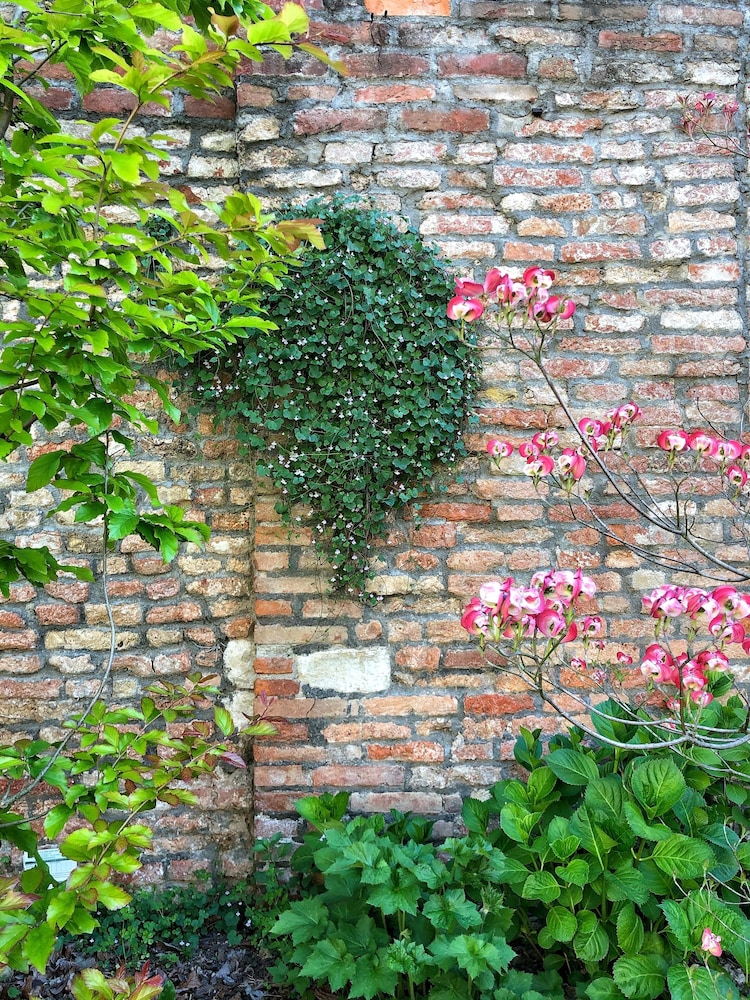 Madama Garden Retreat 38/50