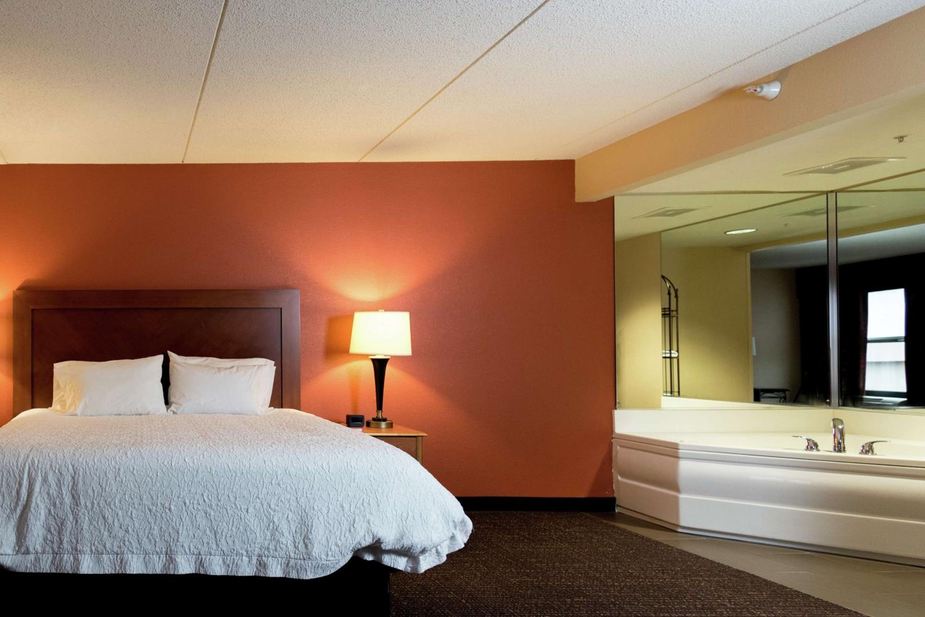 Space, Executive, Suite, King Bed, Sofa, Large