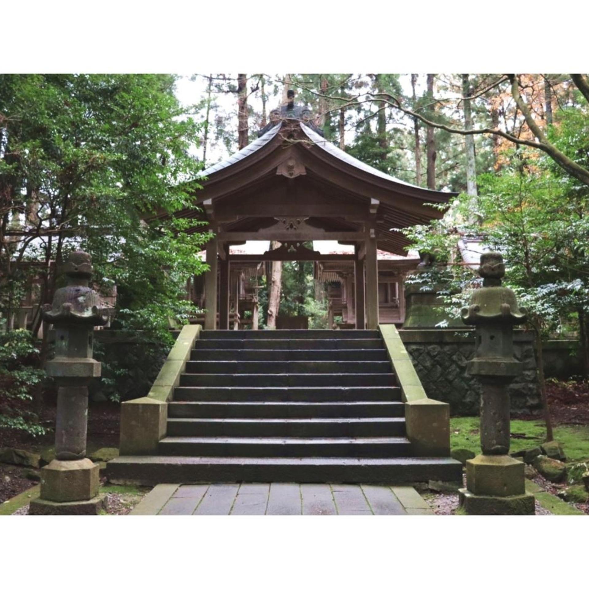 KAIFUTEI TERADOMARI NIHONKAI 20/50