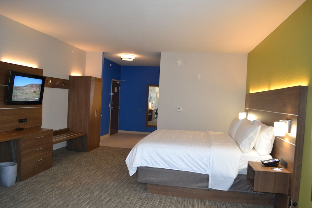 Holiday Inn Express Tallahassee University Central 13/33