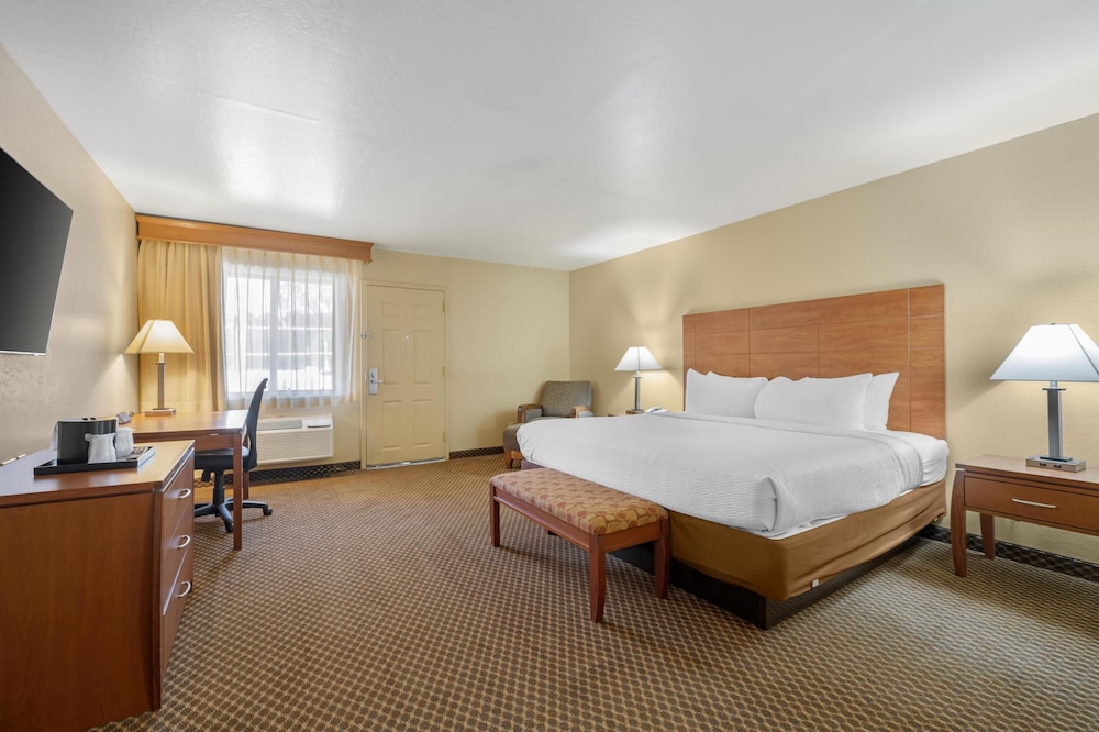 Suite, King Bed, Adult Only