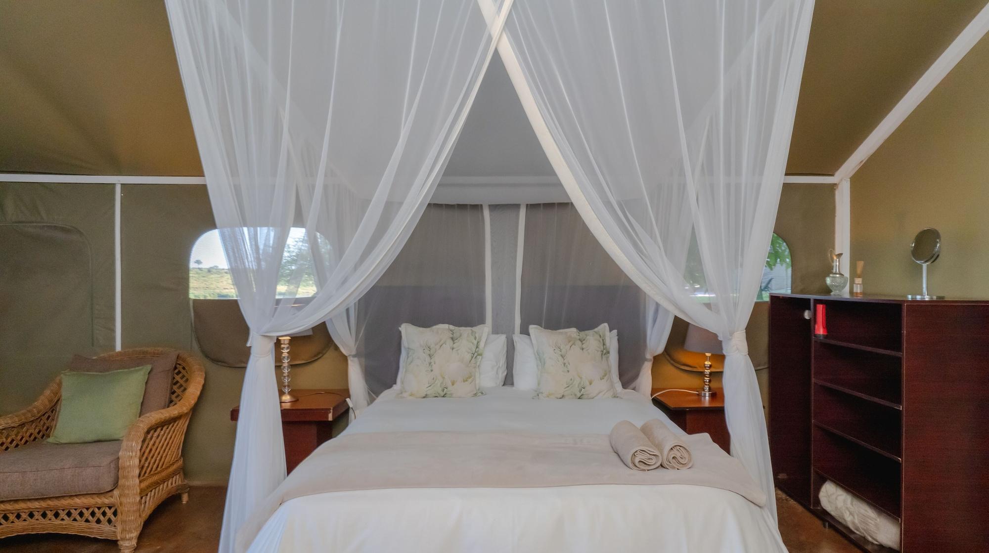 Safari, Tent, Large