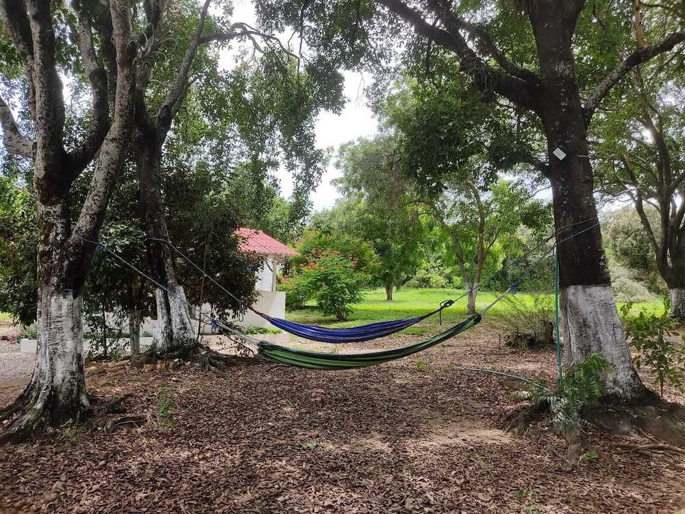 Arizona Ranch Hotel 19/50