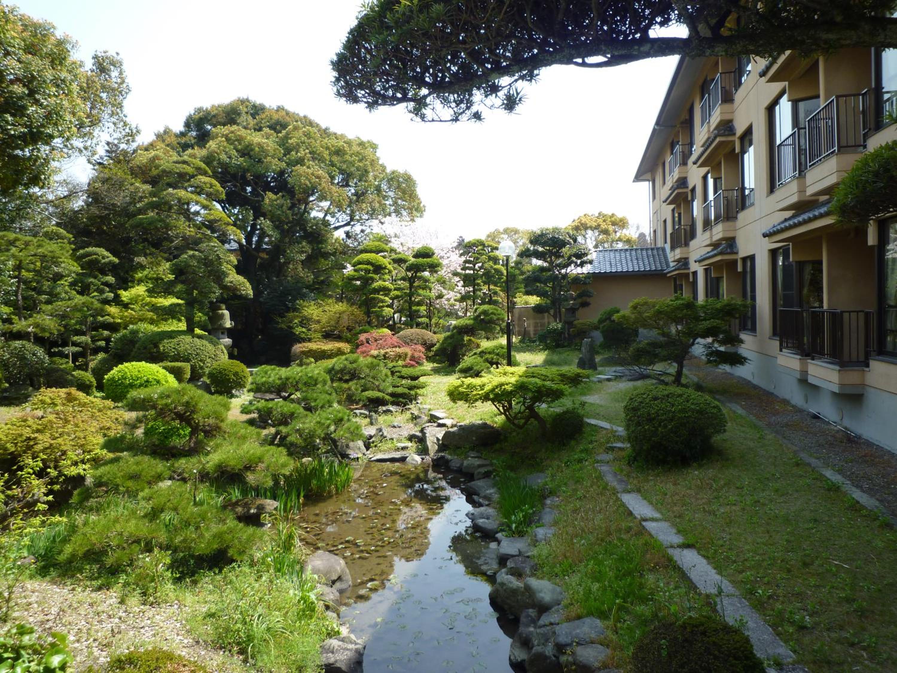 Hakuryusoh 36/43