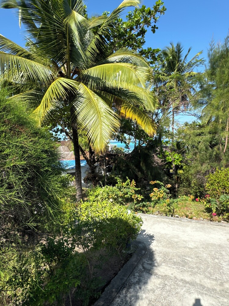 Zanzinite Beach Spa Hotel 23/39