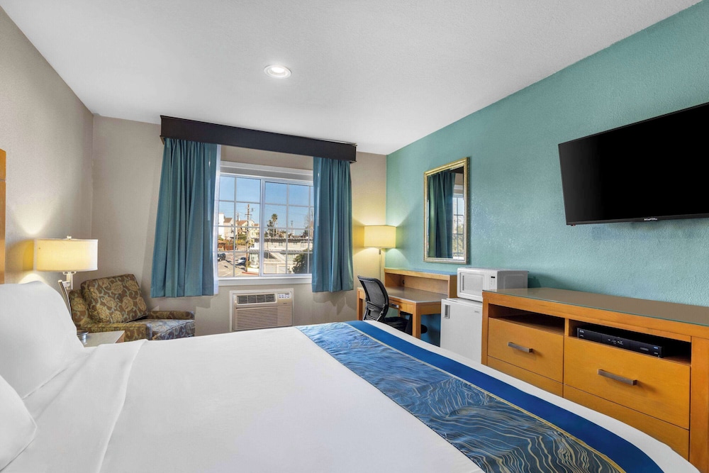 Studio, Suite, King Bed
