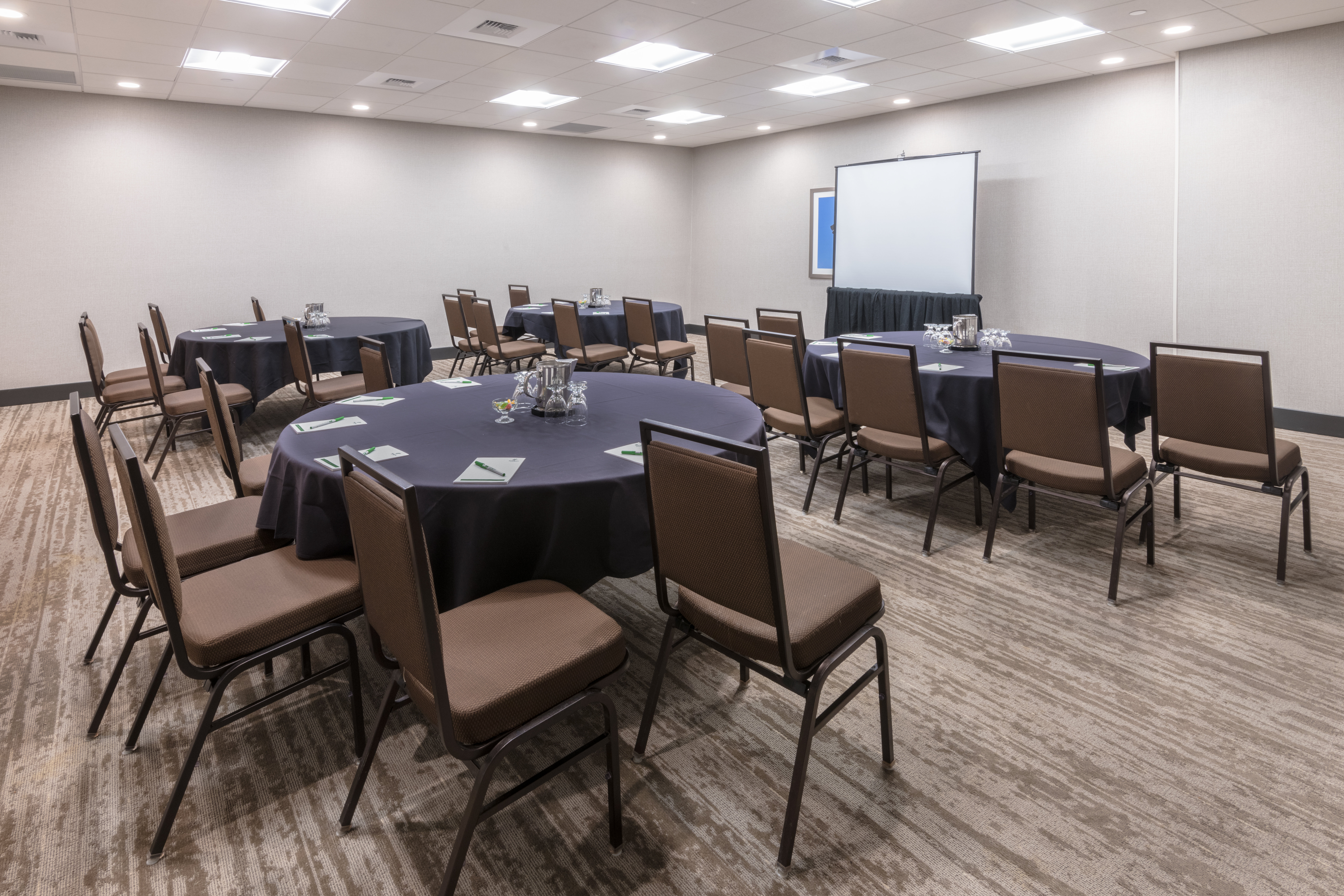 Holiday Inn Denver East Stapleton 58/67