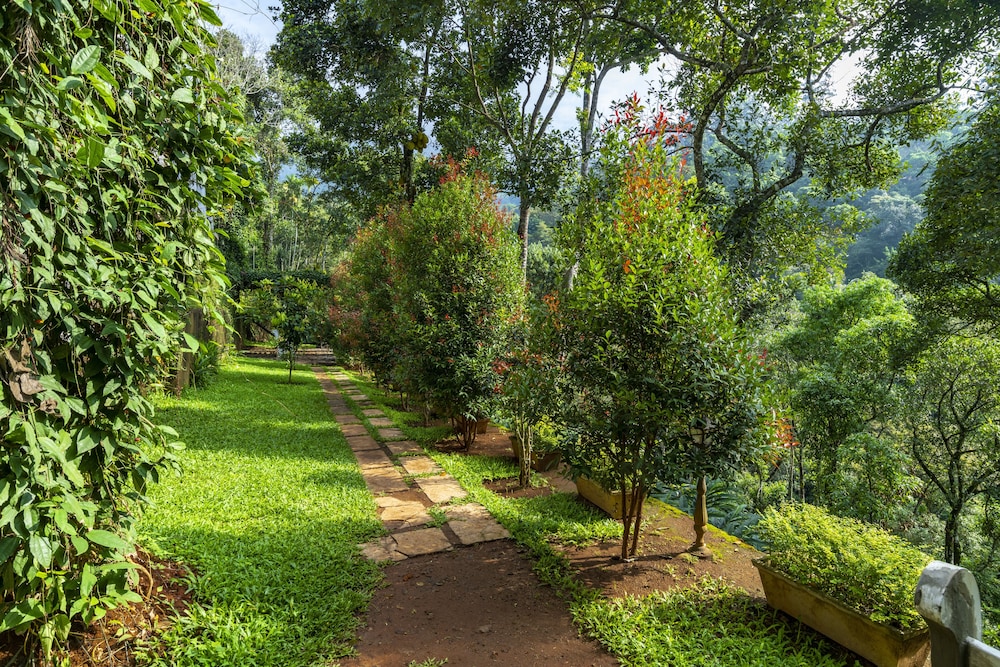 Tea Harvester Munnar 32/50