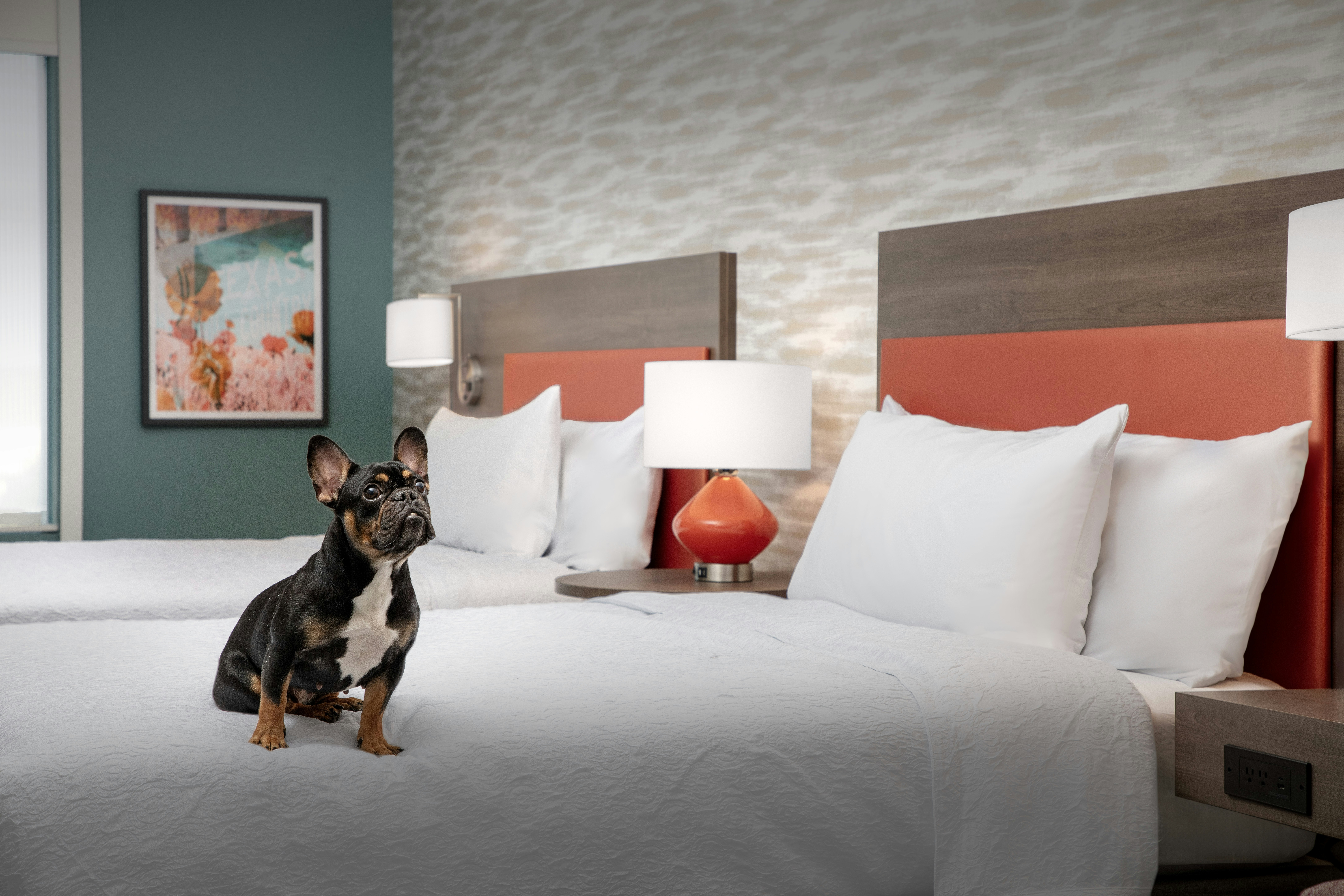 Home2 Suites by Hilton Georgetown Austin North 12/22