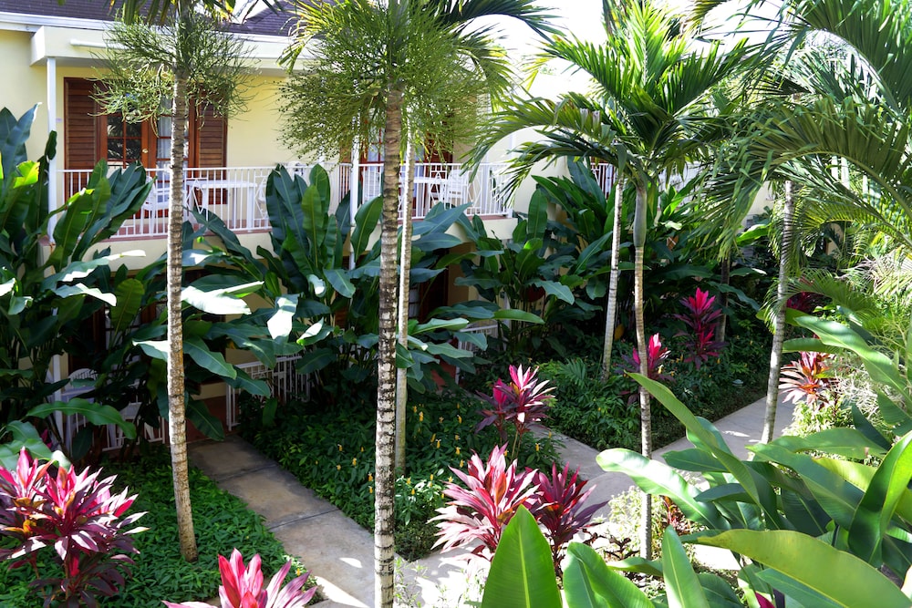 Negril Palms 48/55