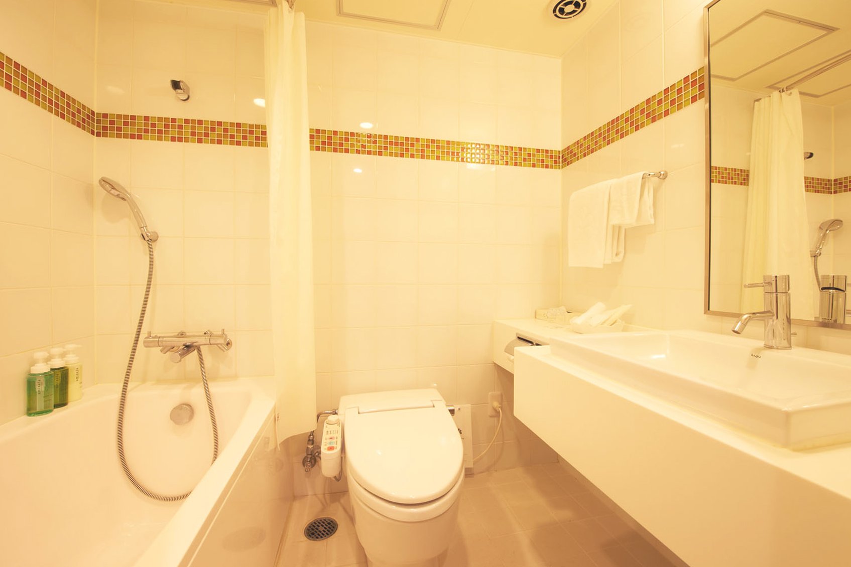Hotel Nikko Narita 32/36