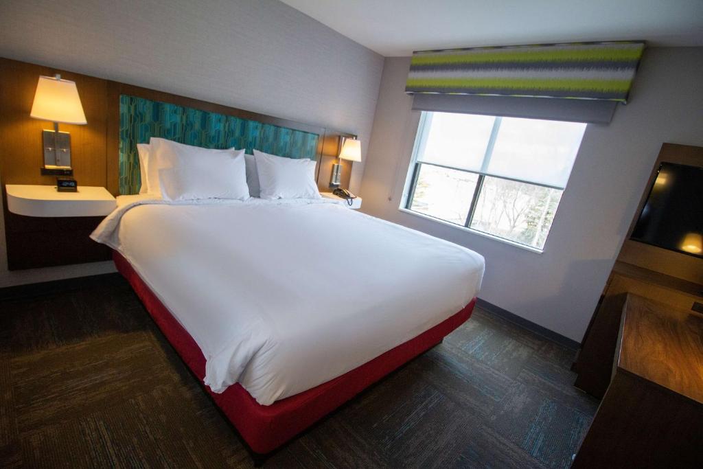Suite, King Bed