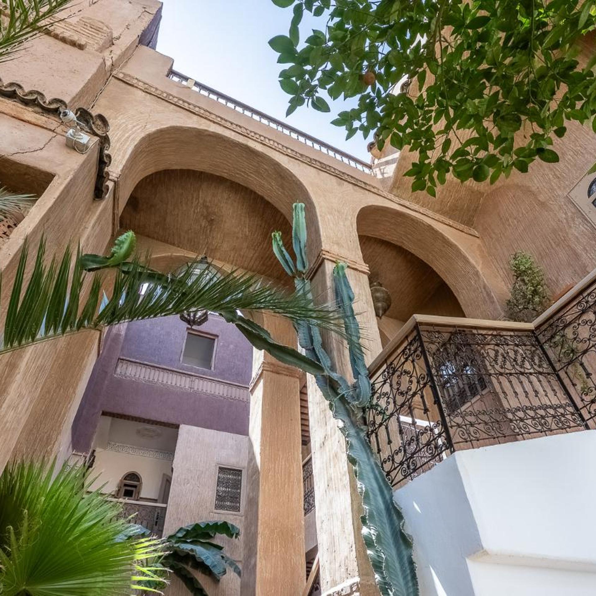 Riad Palmier 56/57