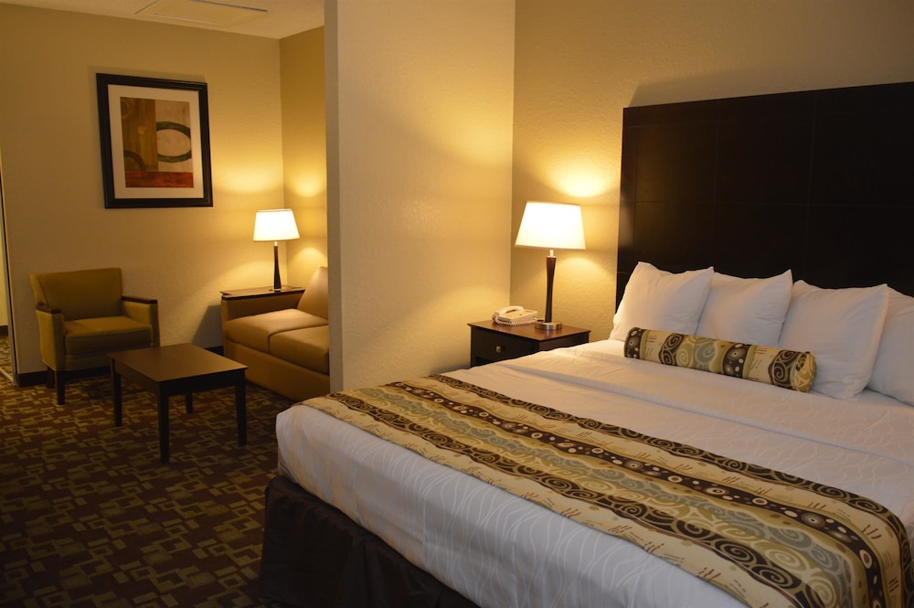 Best Western Plus Hobby Airport Inn and Suites 11/58