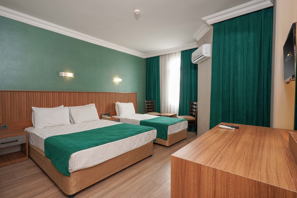 Ergun Hotel 14/50