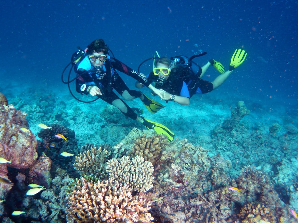 Canareef Resort Maldives 38/65