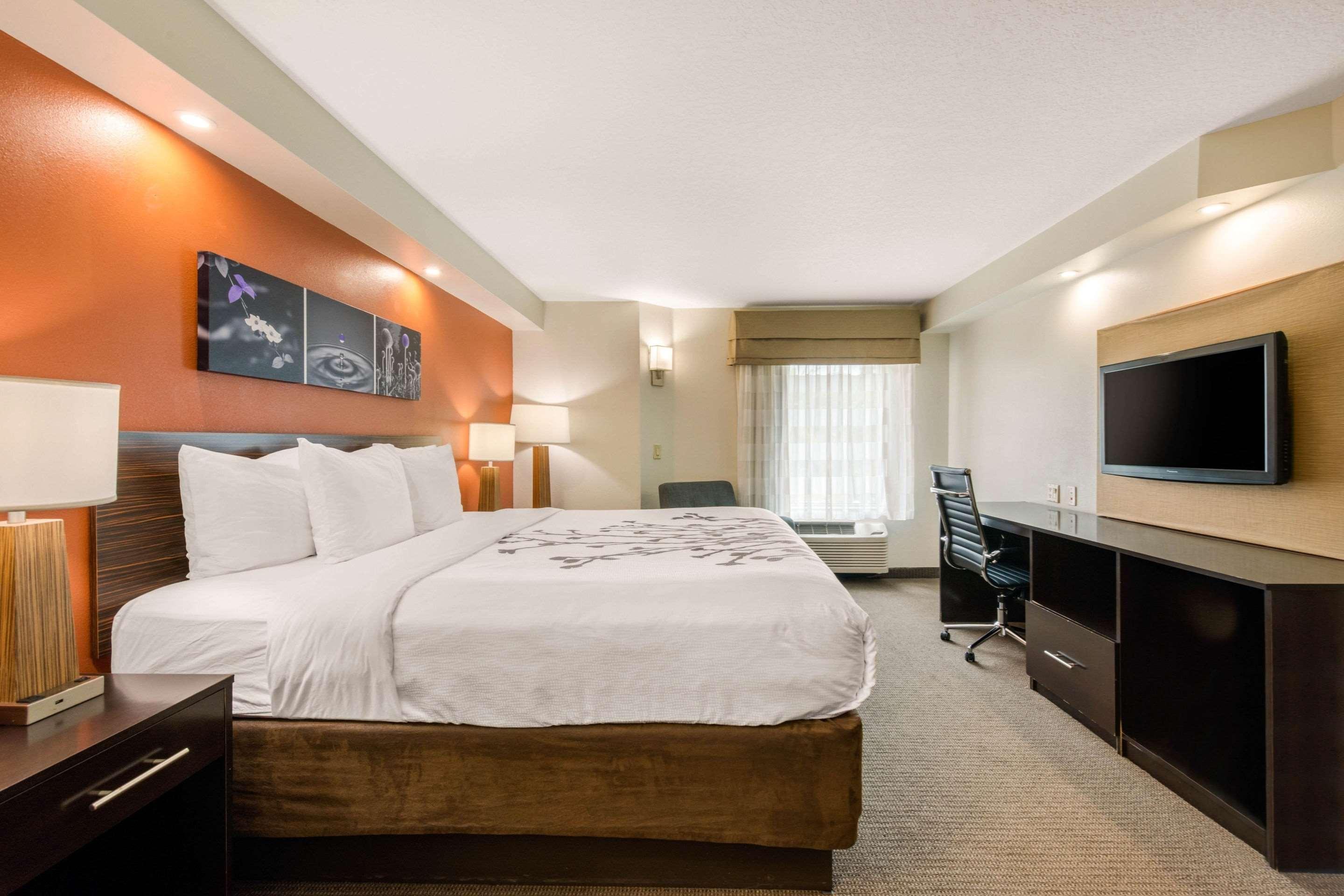 SUITE, KING BED