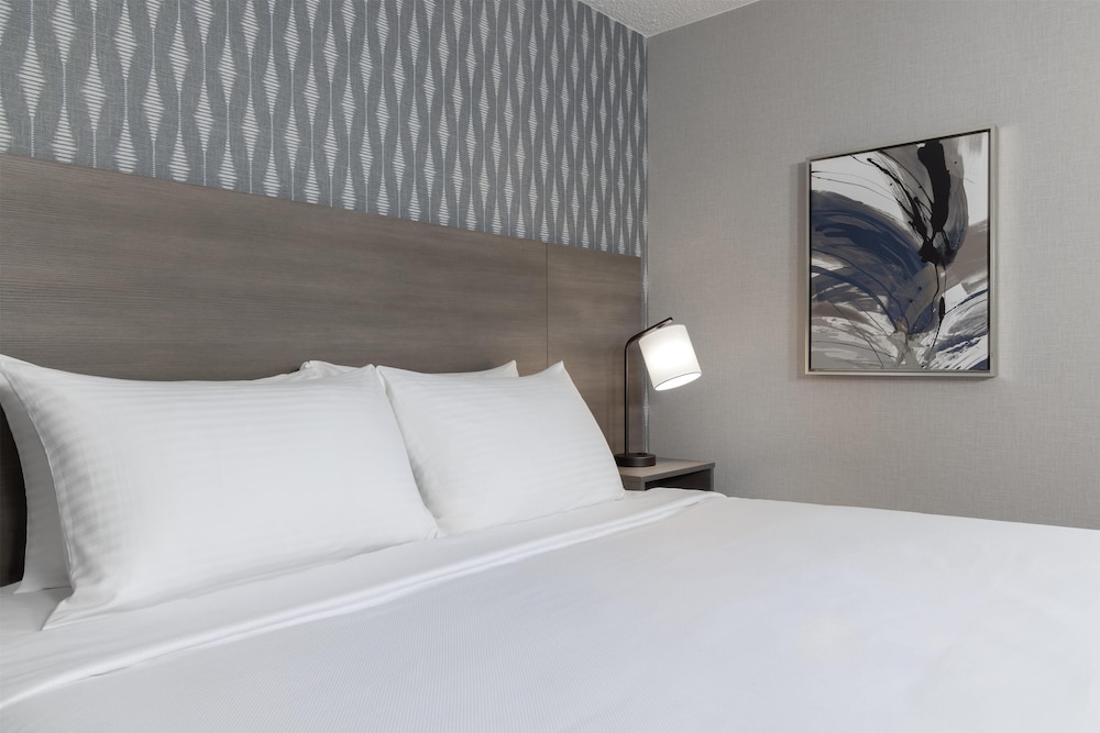 The Midtown Hotel MOD Collection by Sonesta 11/25