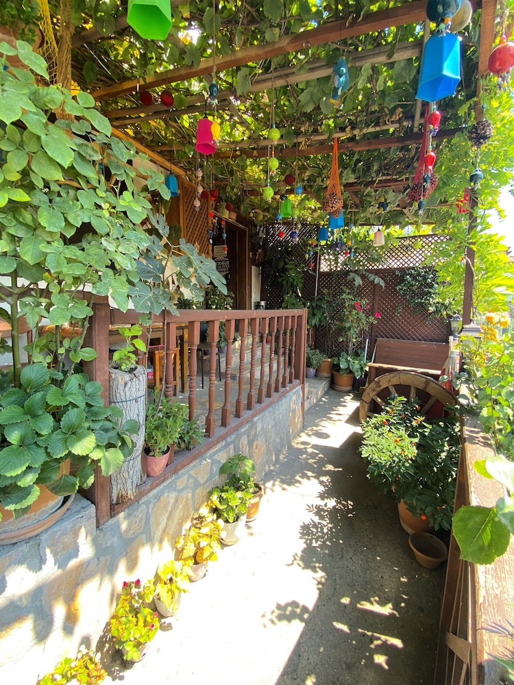Avcioglu Konak Otel 5/50
