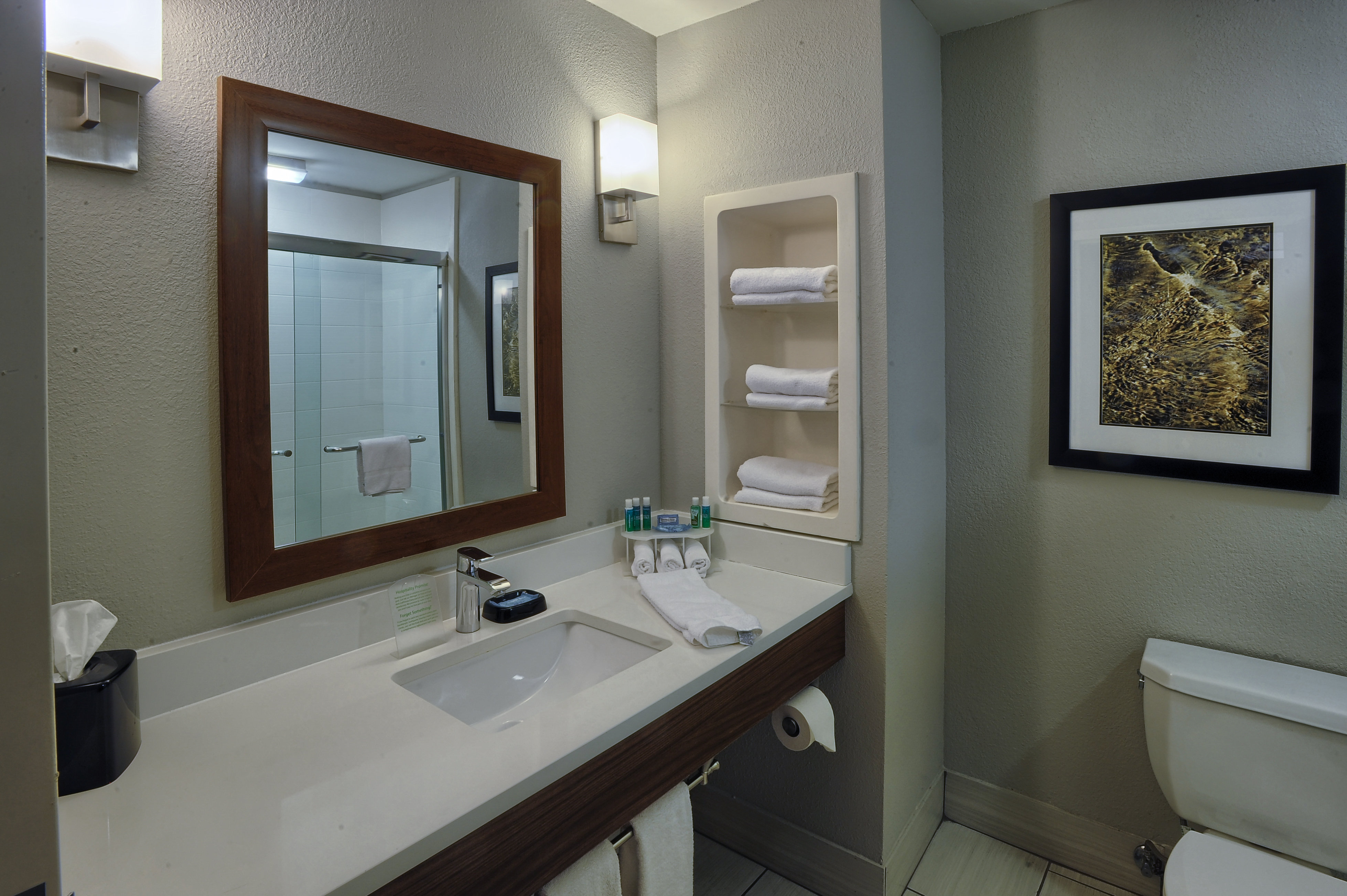 Holiday Inn Express Hotel Suites Pell City 69/71