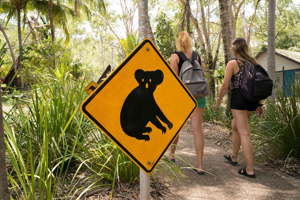Selina Magnetic Island 25/50