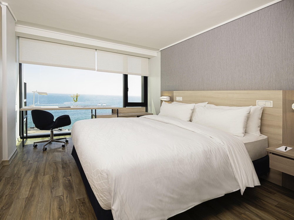 Pullman Vina del Mar San Martin 15/49