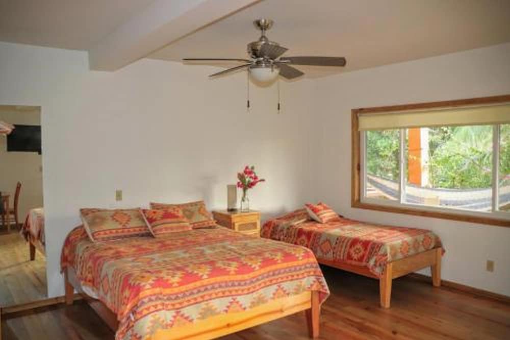 DELUXE, STUDIO, OCEAN FRONT, KITCHENETTE