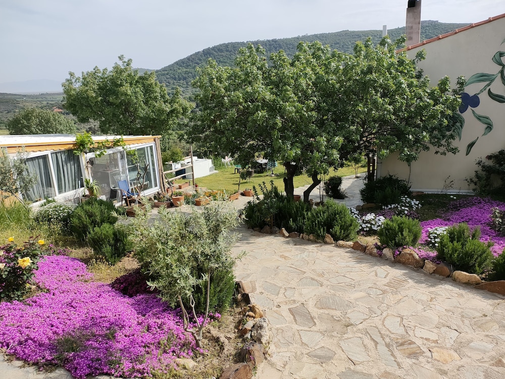 Delice Doga Evi - Hostel 40/50