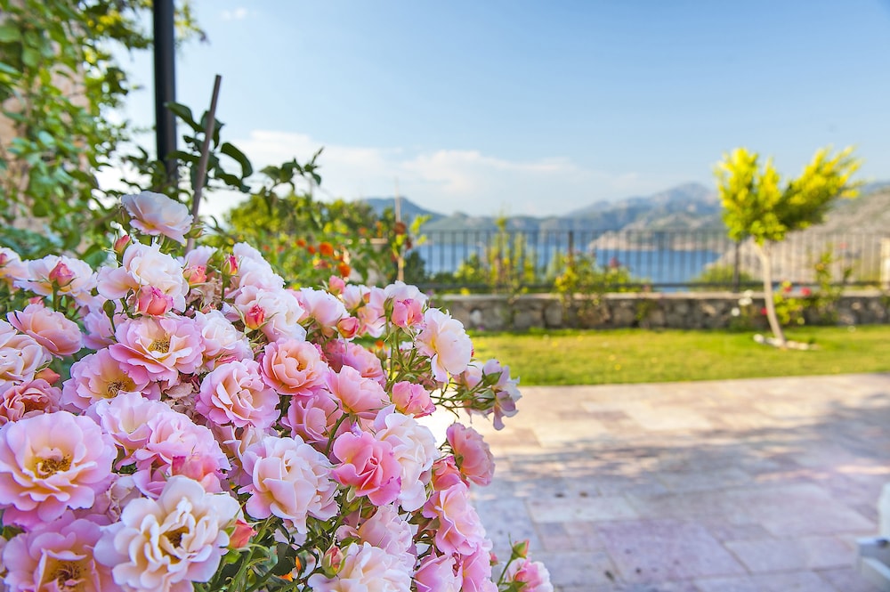 Swan Lake Boutique Hotel - Adults Only 56/67