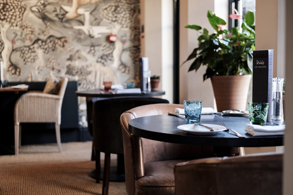 The Swan 34/49