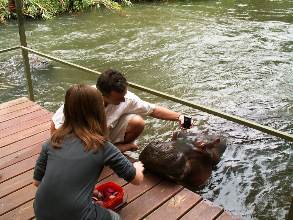 Shikwari Bush Lodge &amp; Pangolin Bush Camp 18/50