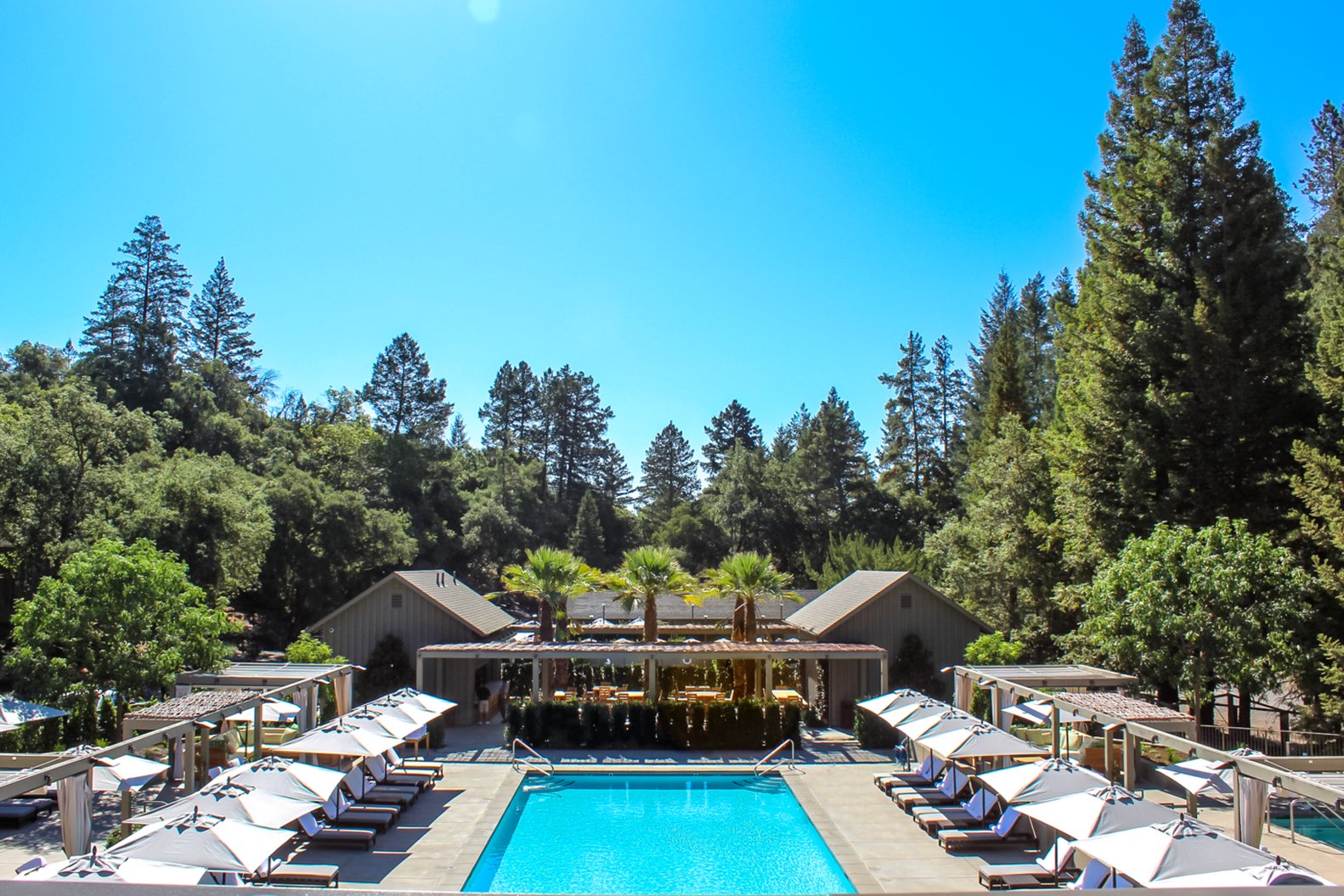 Meadowood Napa Valley 45/50
