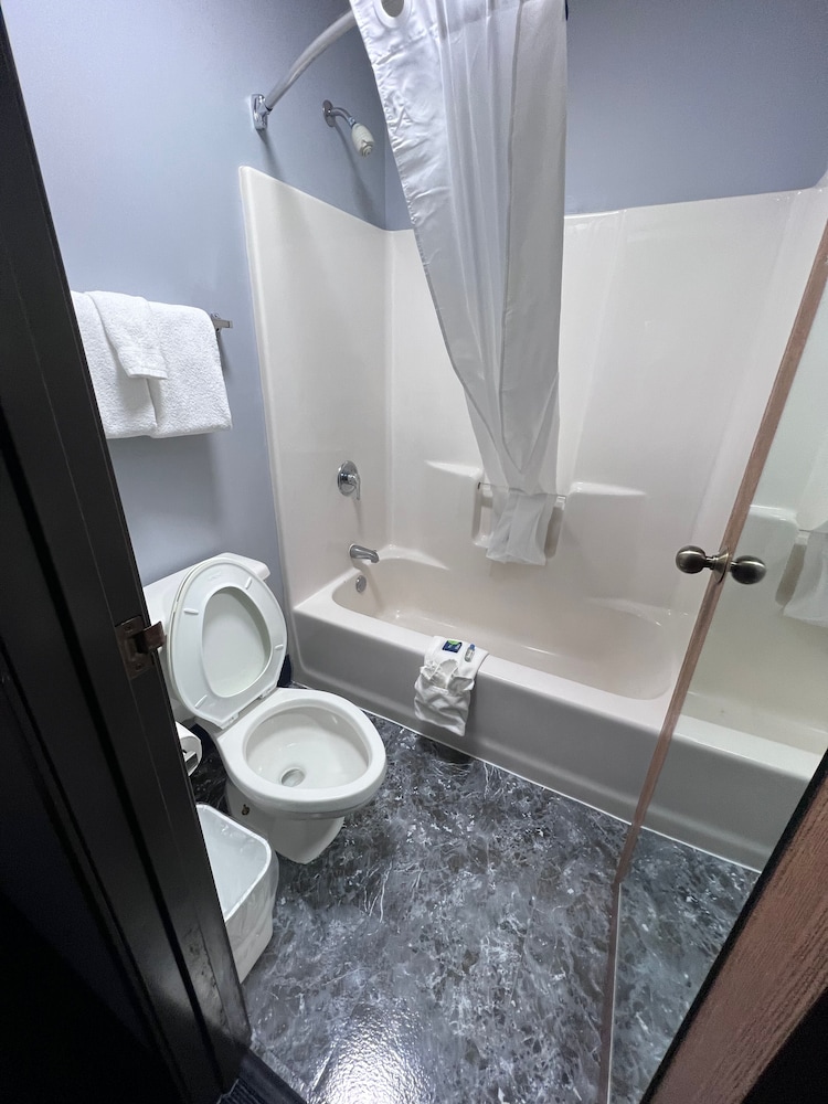 American Inn and Suites Ionia 44/47