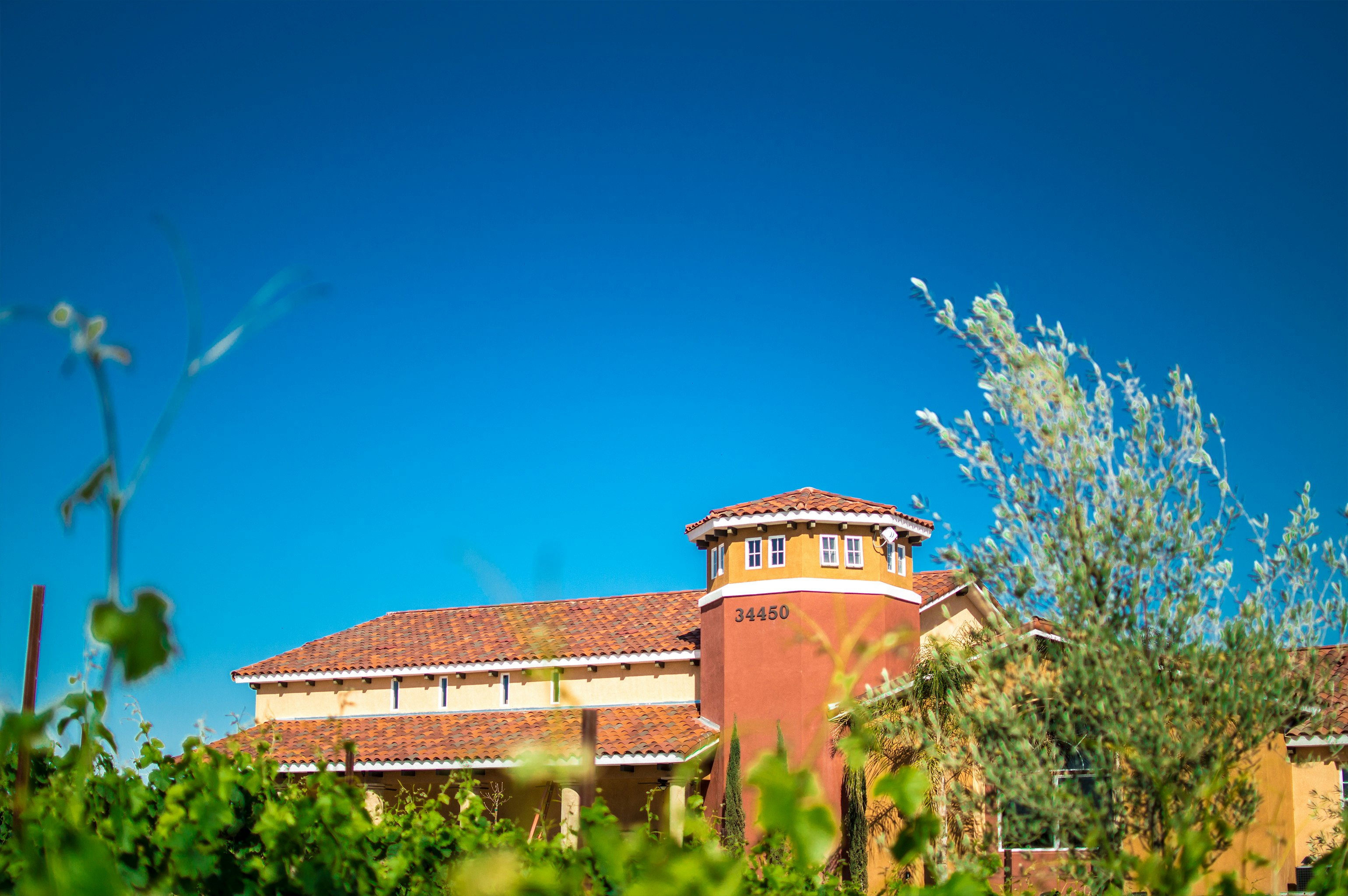 CARTER ESTATE WINERY AND RESORT 1/25