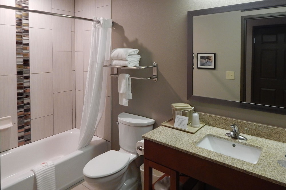 Comfort Inn & Suites Las Cruces Mesilla 17/54