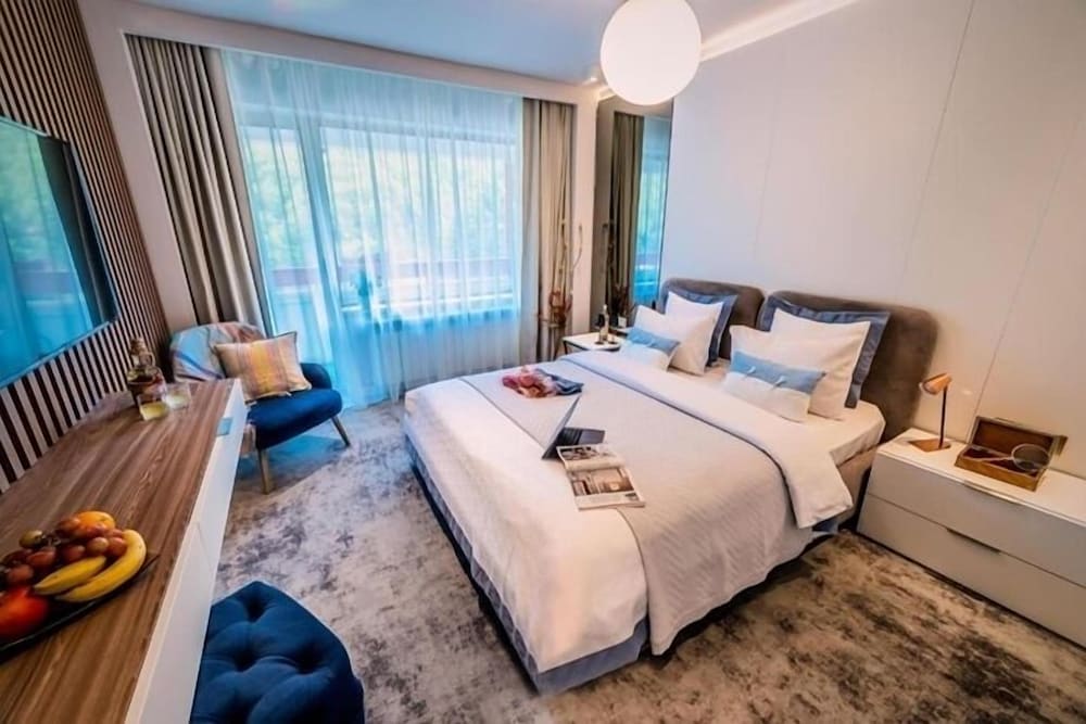 Hotel Rina Sinaia 12/50
