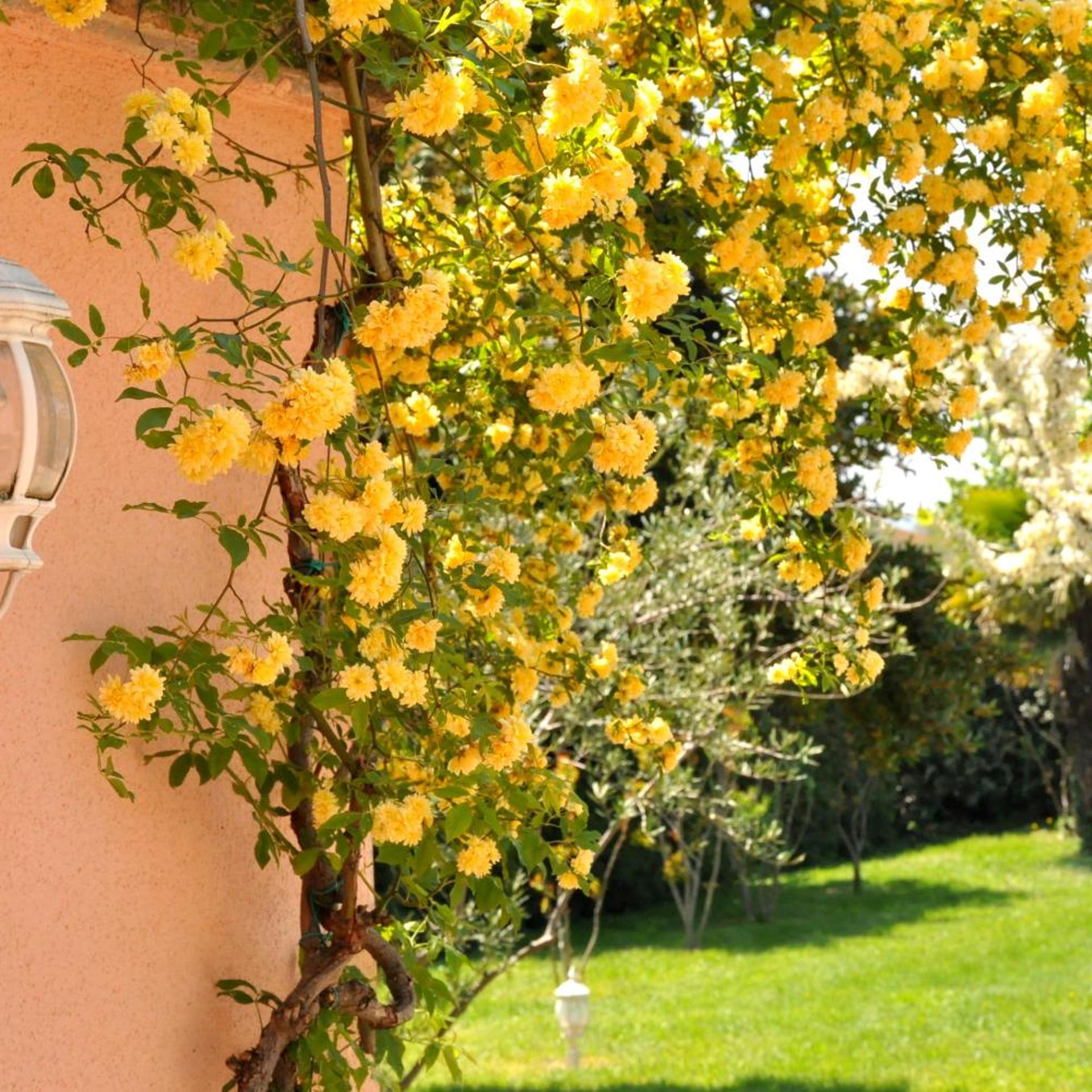 Hotel La Bastide Des Monges 40/50