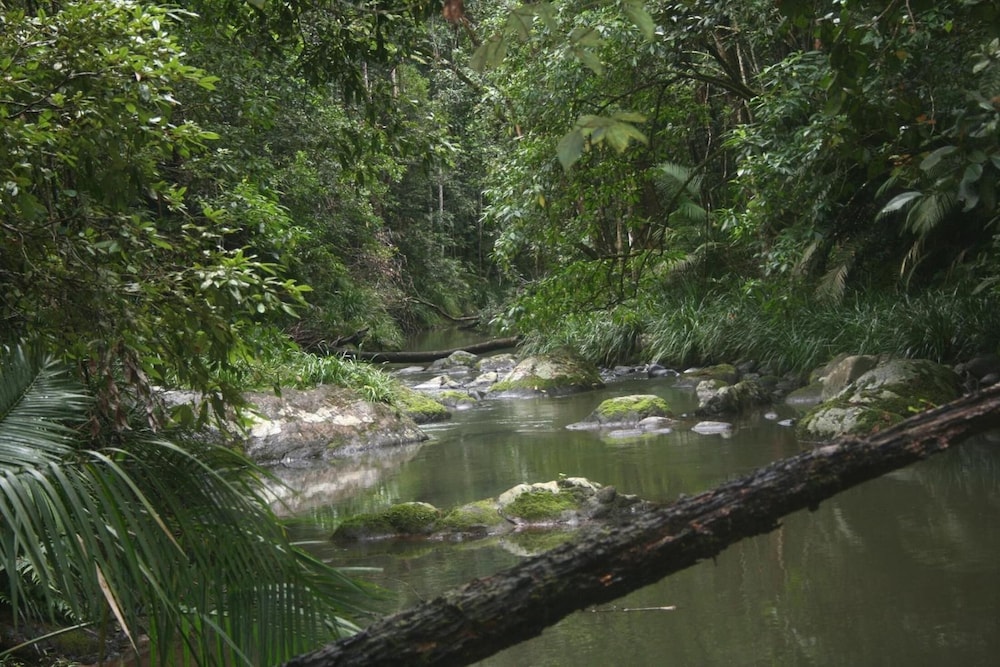 Rose Gums Wilderness Retreat 61/67