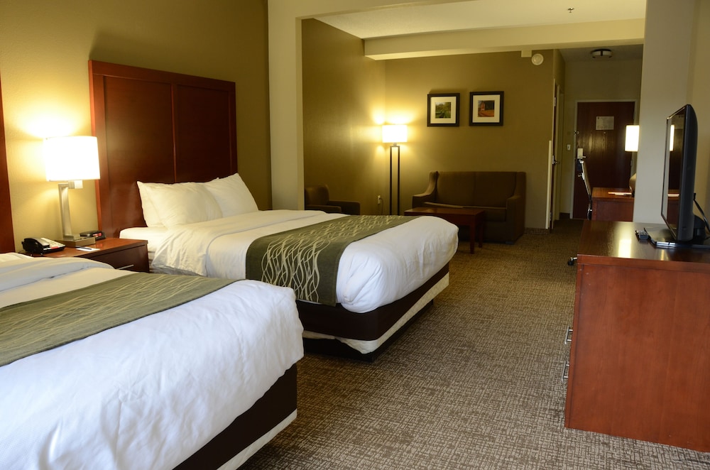 Comfort Inn & Suites Cave City 8/38