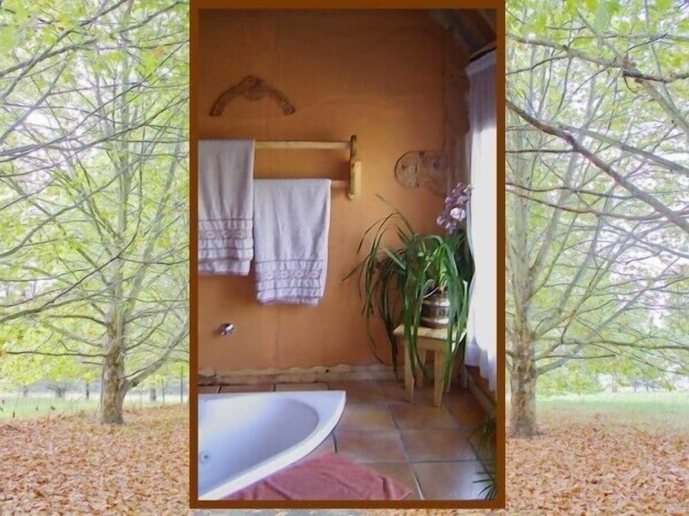 Sycamore Avenue Treehouses 50/50