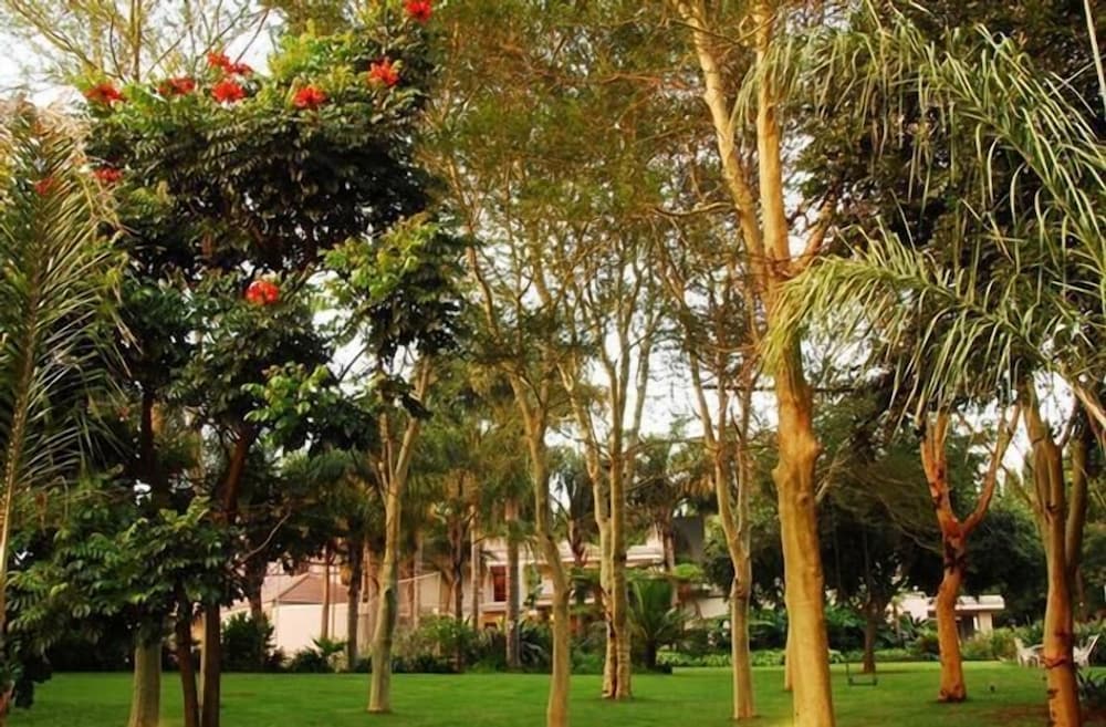 Villa Amor 36/39