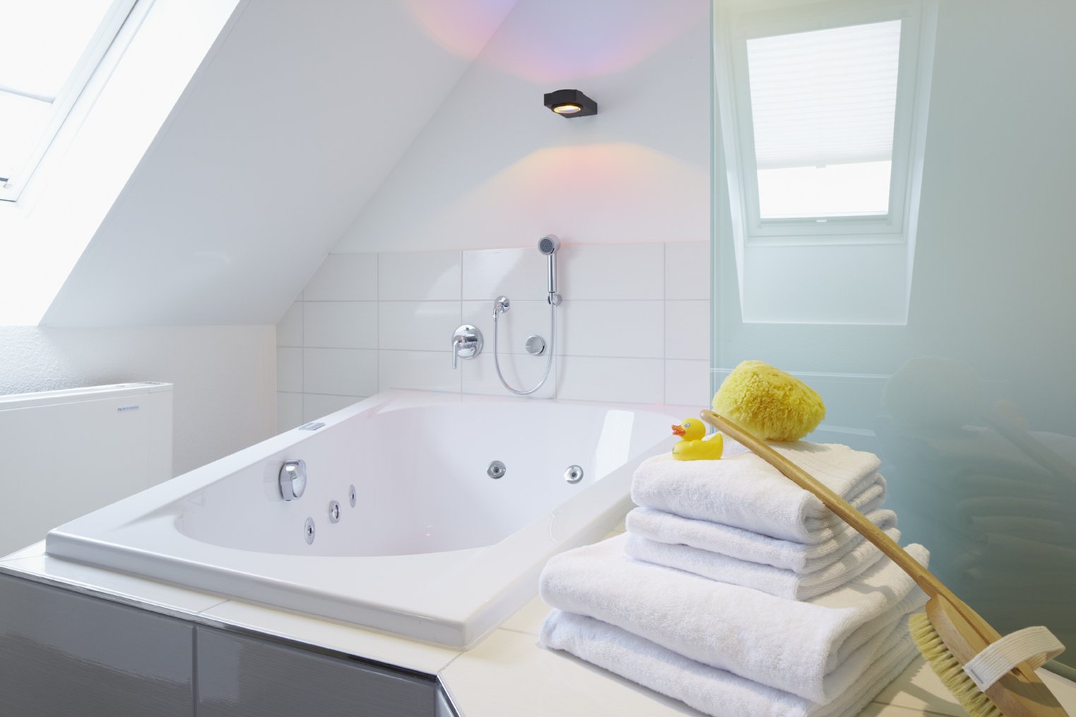 SORELL HOTEL RUTLI 45/45