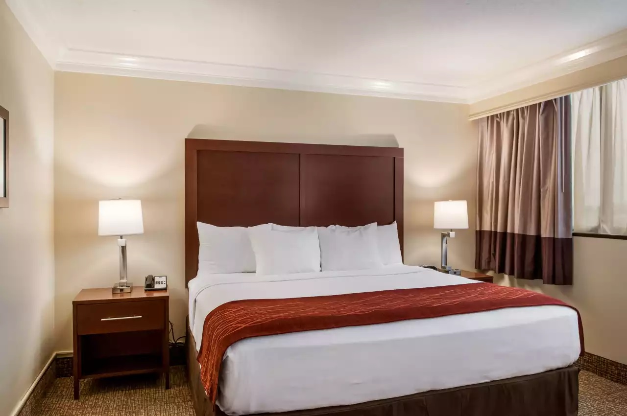 SUITE, KING BED
