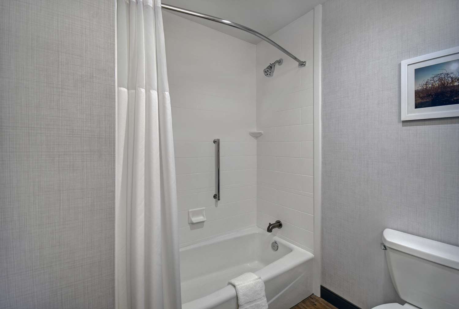 غرفة بسرير كينج بحوض استحمام لذوي الإعاقة، Hampton Inn Midland South 3/3