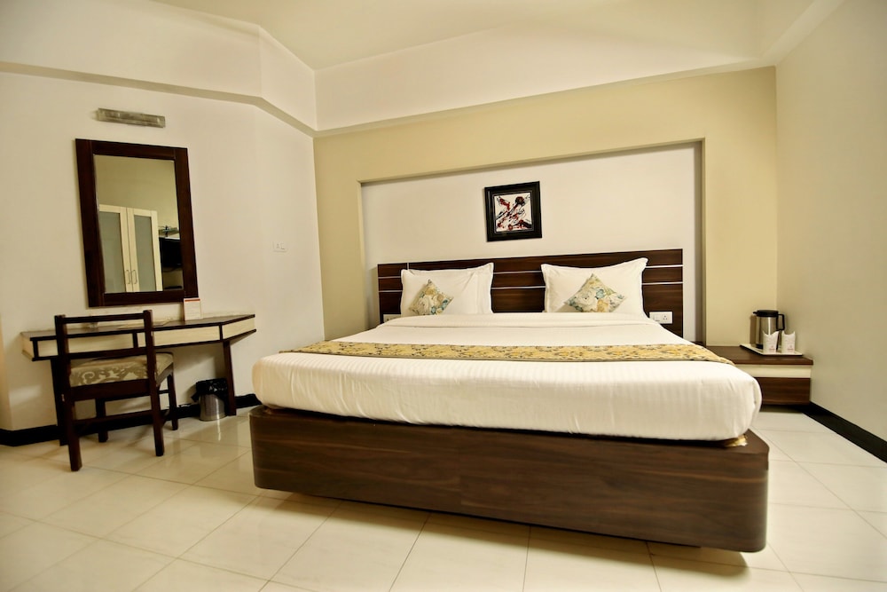 ASHISH宫殿酒店(HOTEL ASHISH PALACE) 图片5