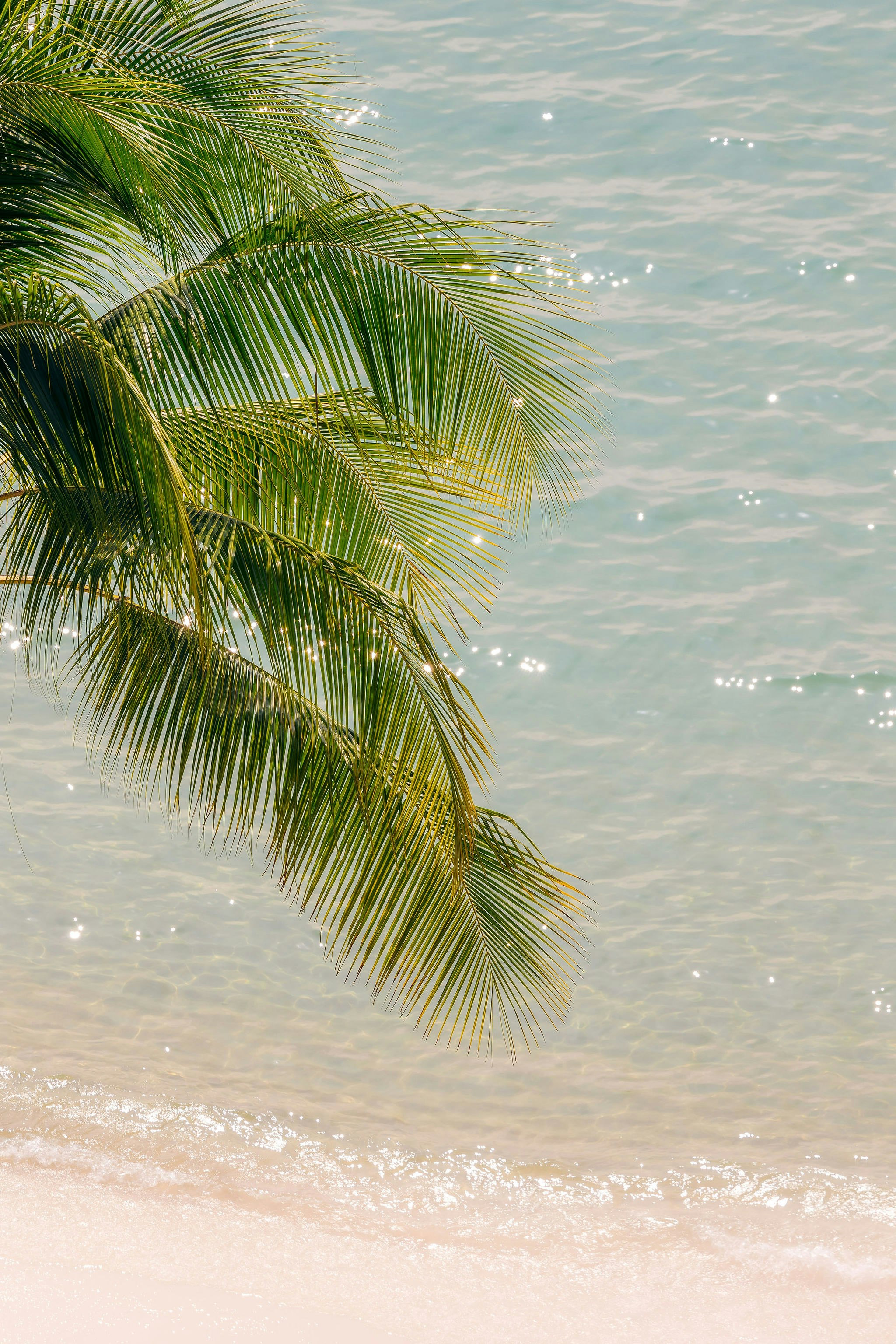 Waikiki Circle Hotel 42/50